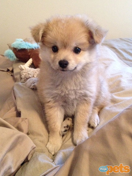 November's Cutest of the Cute!