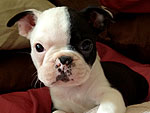 November's Cutest of the Cute!