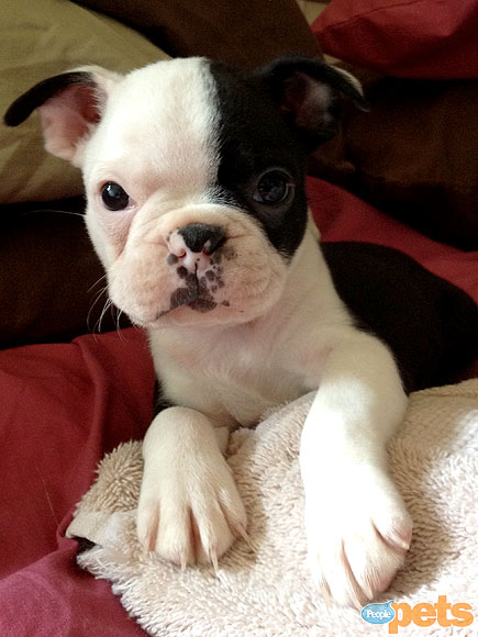 November's Cutest of the Cute!