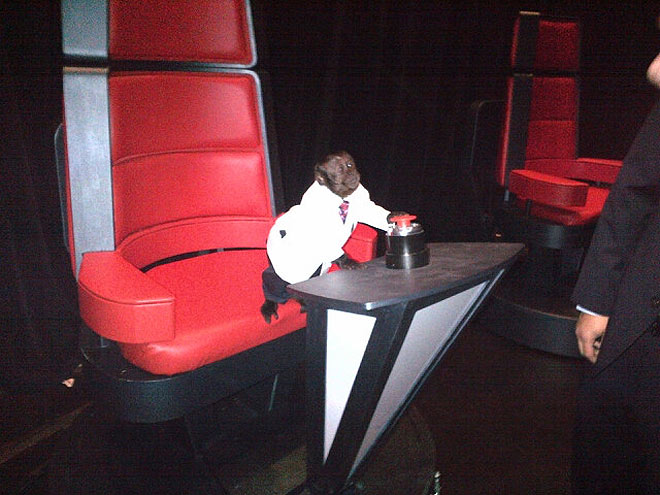 This Is The Voice – with Pets!