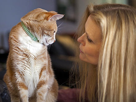 Tierney Sutton, Jazz Vocalist, Loves Cats