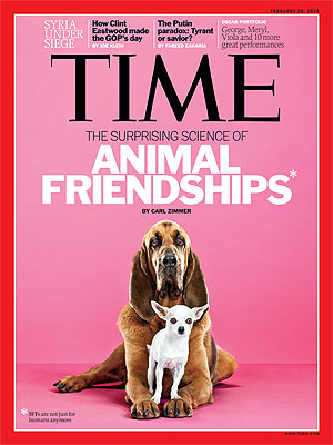 Animals Make Lasting Friendships Like Humans Do