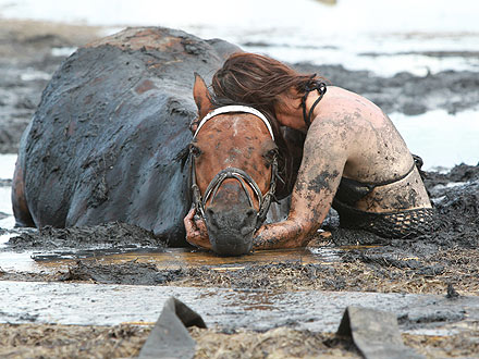 Horse Rescued from Deep Mud in Australia