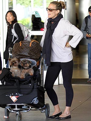 Molly Sims Pregnant, Wants to Include Dogs