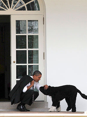 Presidential Health Break! Obama Takes a Breather with Bo