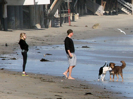 Amanda Seyfried Dating Josh Hartnet, Couple Takes Dogs to Beach