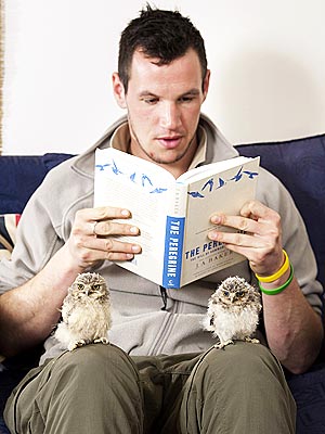 Orphaned Owls Being Hand Raised in England