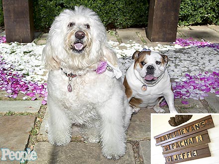 Ricki Lake Wedding: Dogs Join Secret Ceremony