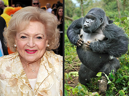 Betty White Gives Carol Burnett Gorilla for Her Birthday