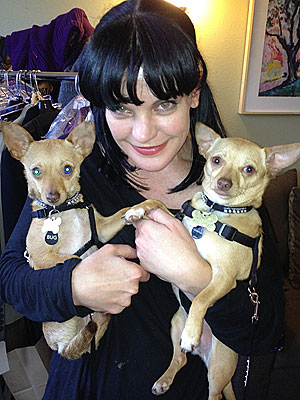 Pauley Perrette Adopts Two Rescue Dogs