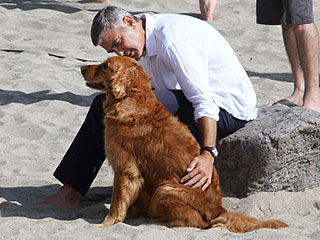 George Clooney Goes Barefoot on the Beach with an Adorable Dog | George Clooney