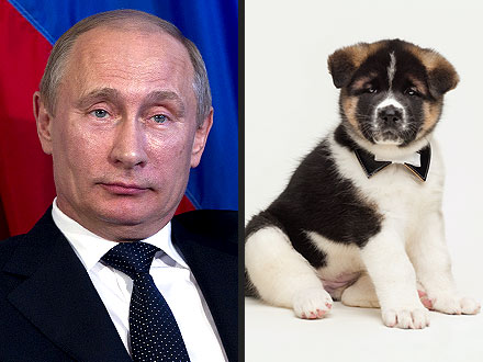 Russian President Vladimir Putin Receives Akita Puppy from Japan