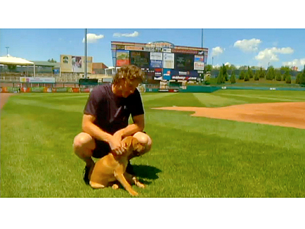 New Mexico Baseball Team Adopts Blind Puppy