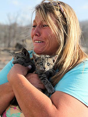 How to Help Pets Displaced by Colorado's Wildfires