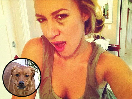Haylie Duff Gets a Black Eye – from Her Dog