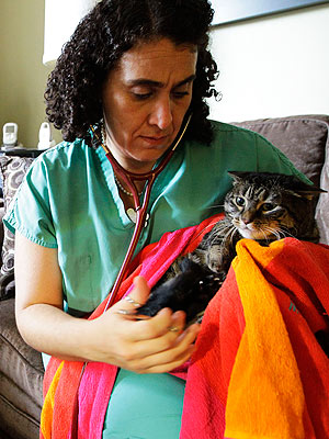 More Veterinarians Are Taking House Calls