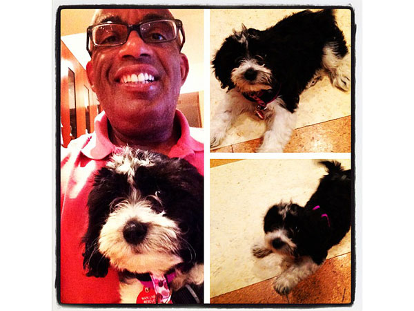 Al Roker Adopts Rescue Puppy Named Pepper