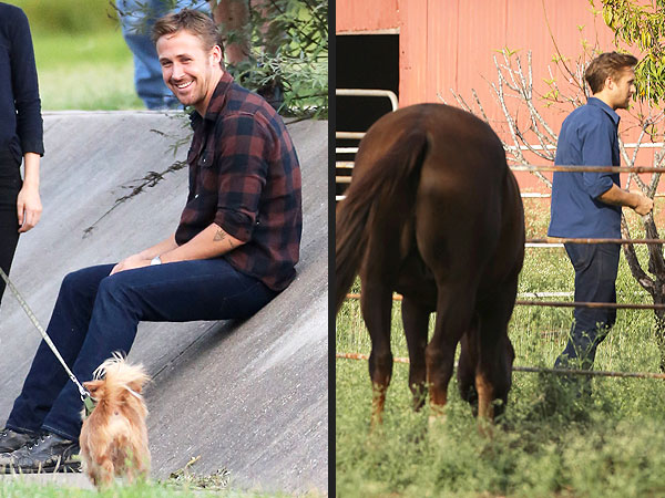 Ryan Gosling on Terrence Malick Set with Dog and Horse