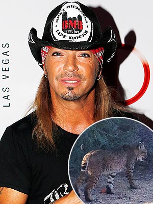 Bret Michaels's New Neighbor Is a Wild Bobcat!