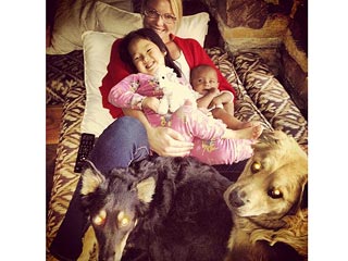 Katherine Heigl: 'I Wouldn't Recommend' Having 7 Dogs and 2 Kids