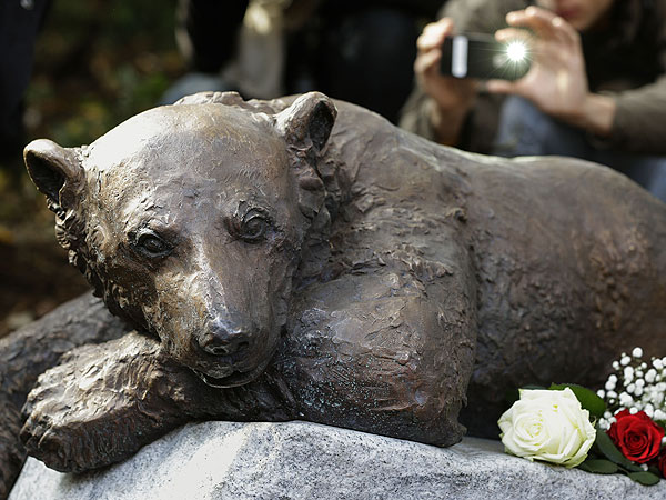Polar Bear Knut Remembered at Berlin Zoo with Statue