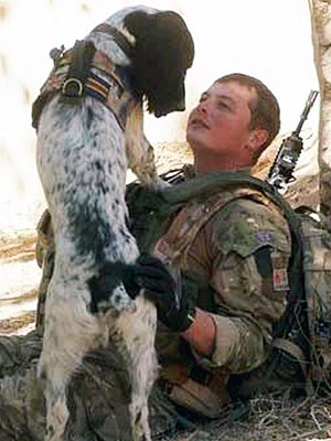 The Water Bowl: British Bomb-Sniffing Dog Receives Posthumous Honor