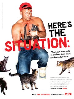 Why Mike 'The Situation' Sorrentino Took His Shirt Off for Kittens