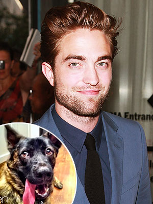 Robert Pattinson Talks Dog Bear on Ellen