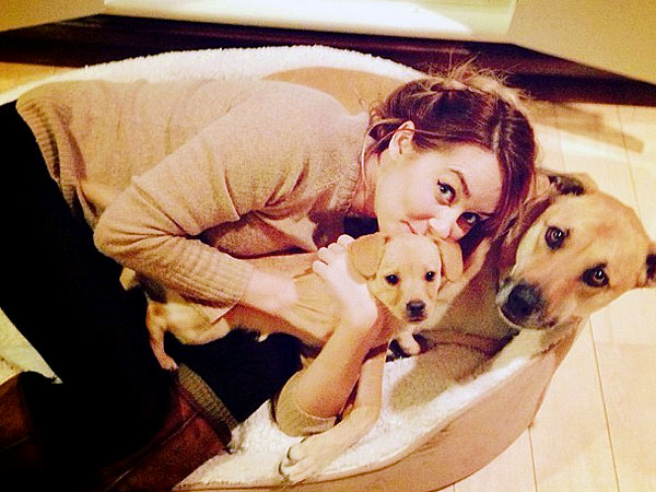 Lauren Conrad Dogshames Her New Puppy