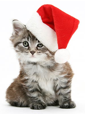 Holiday Gifts for Pet Lovers