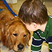 'Comfort Dogs' Relieve Emotional Stress in Grieving Newtown