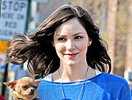 Stars and Their Pets: Katharine McPhee's Tiny Tote | Katharine McPhee