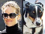 Stars and Their Pets: Hilary Swank's Parisian Pooch | Hilary Swank