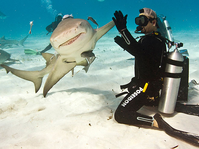 10 Craziest Animal Photos of 2012
