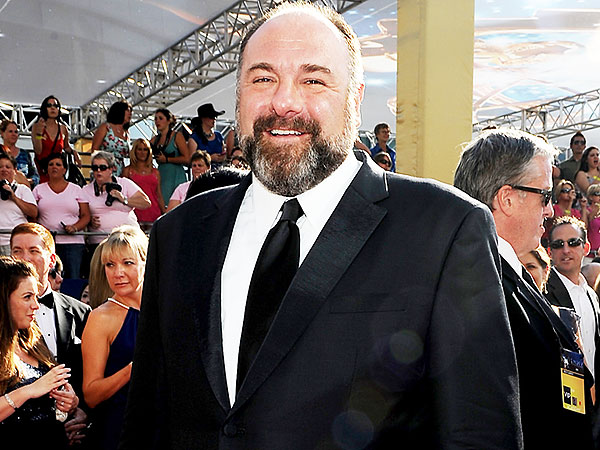James Gandolfini's Death: The Performances That Won't Be Seen