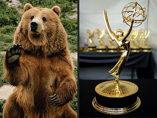 Beats, Bears and the Battle for Emmy: The Most Important Things on the Internet