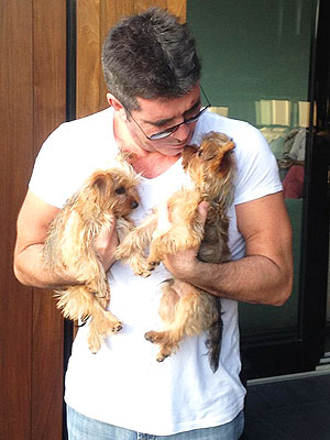 Two More Babies On the Way for Simon Cowell – Furbabies!