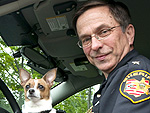 Workin' 9 to 5: Dogs with Jobs