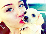 See Latest Miley Cyrus Photos