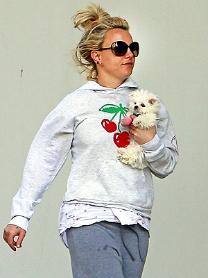 Photo: Britney Spears's New Puppy Sports Cast