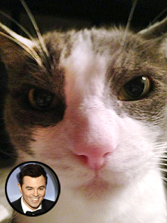 Seth MacFarlane's Oscars Gig Praised ... By His Cat | Seth MacFarlane