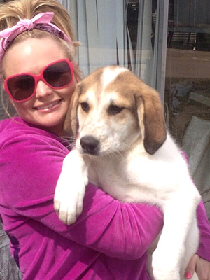 Miranda Lambert Finds Dog on Highway, Tweets Photo