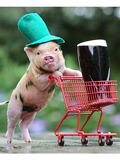 The Daily Treat: Micro Pig Says Top o' the Mornin' to Ya