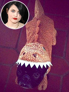Frances Bean Cobain's Dog Dies