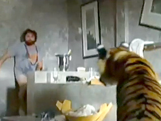 Tiger Surprises Woman in the Bathroom