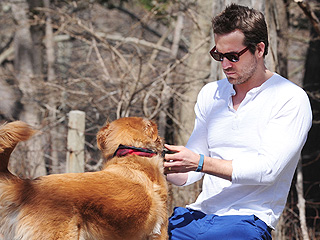 The Daily Treat: Why We're Jealous of Ryan Reynolds's Dog | Ryan Reynolds