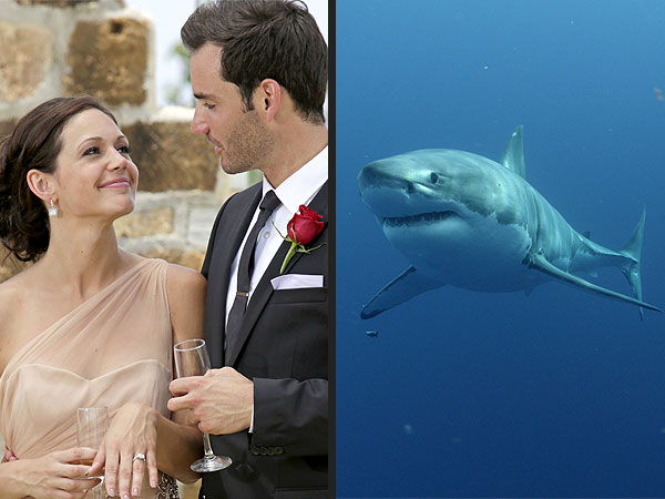 The Bachelorette Finale, Shark Week: Which Did You Watch?