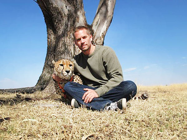 Paul Walker - Self Proclaimed Animal Lover