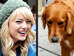 See Latest Emma Stone Photos
