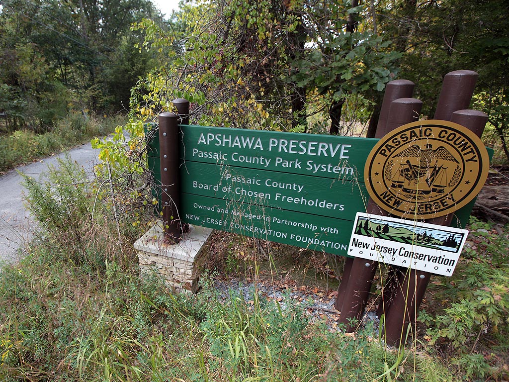 Rare Bear Attack Kills College Student in New Jersey
